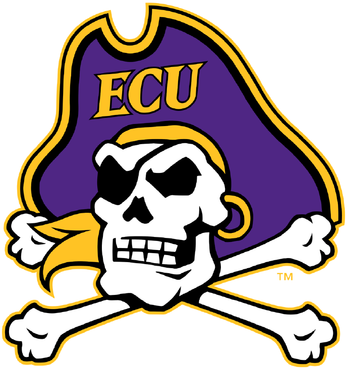 East Carolina Pirates 2014-Pres Primary Logo diy fabric transfer